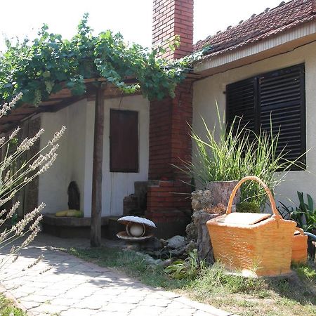 Przic House Apartman Negotin Kültér fotó