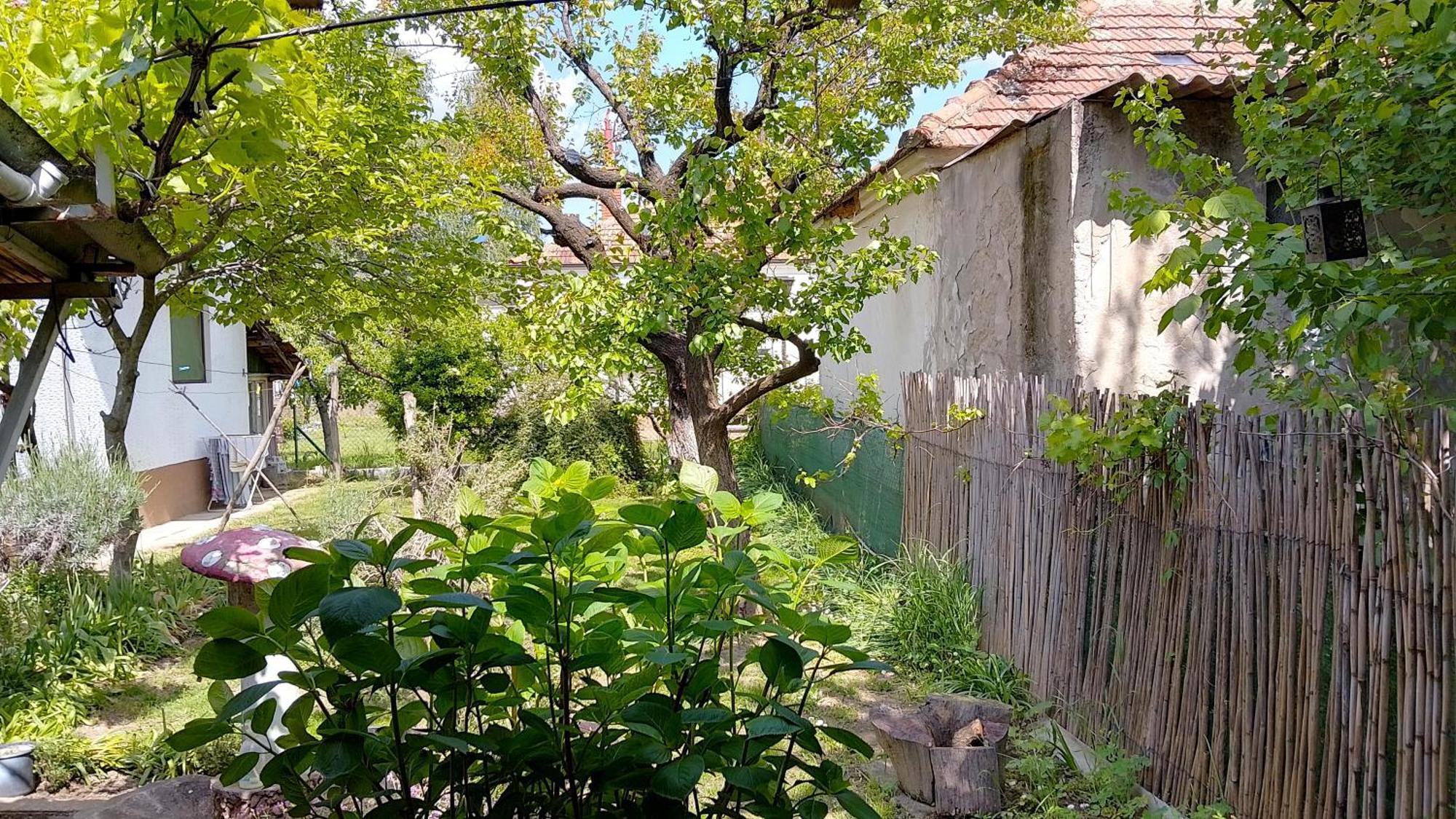 Przic House Apartman Negotin Kültér fotó