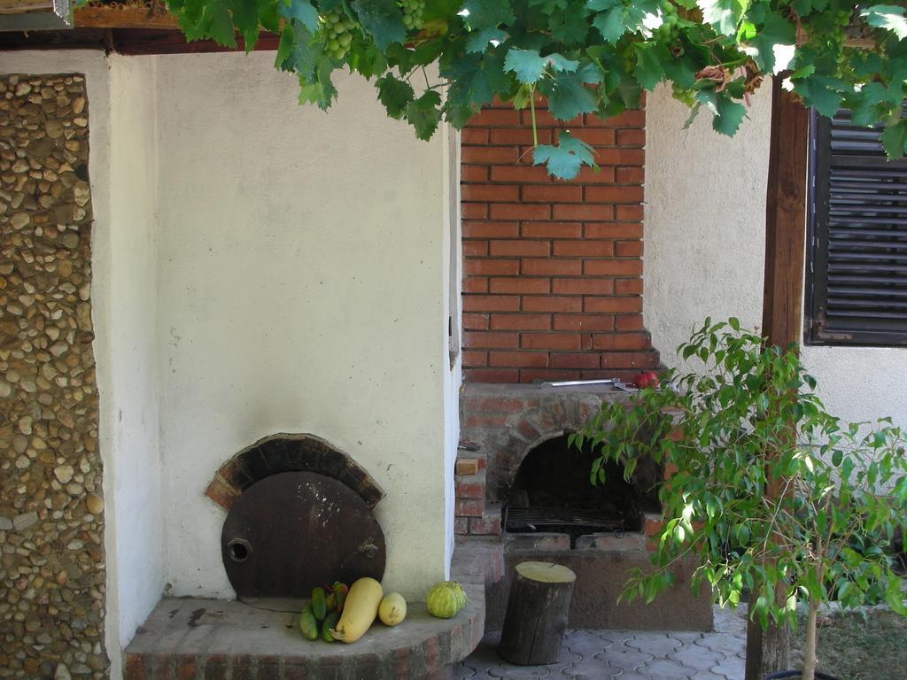 Przic House Apartman Negotin Kültér fotó