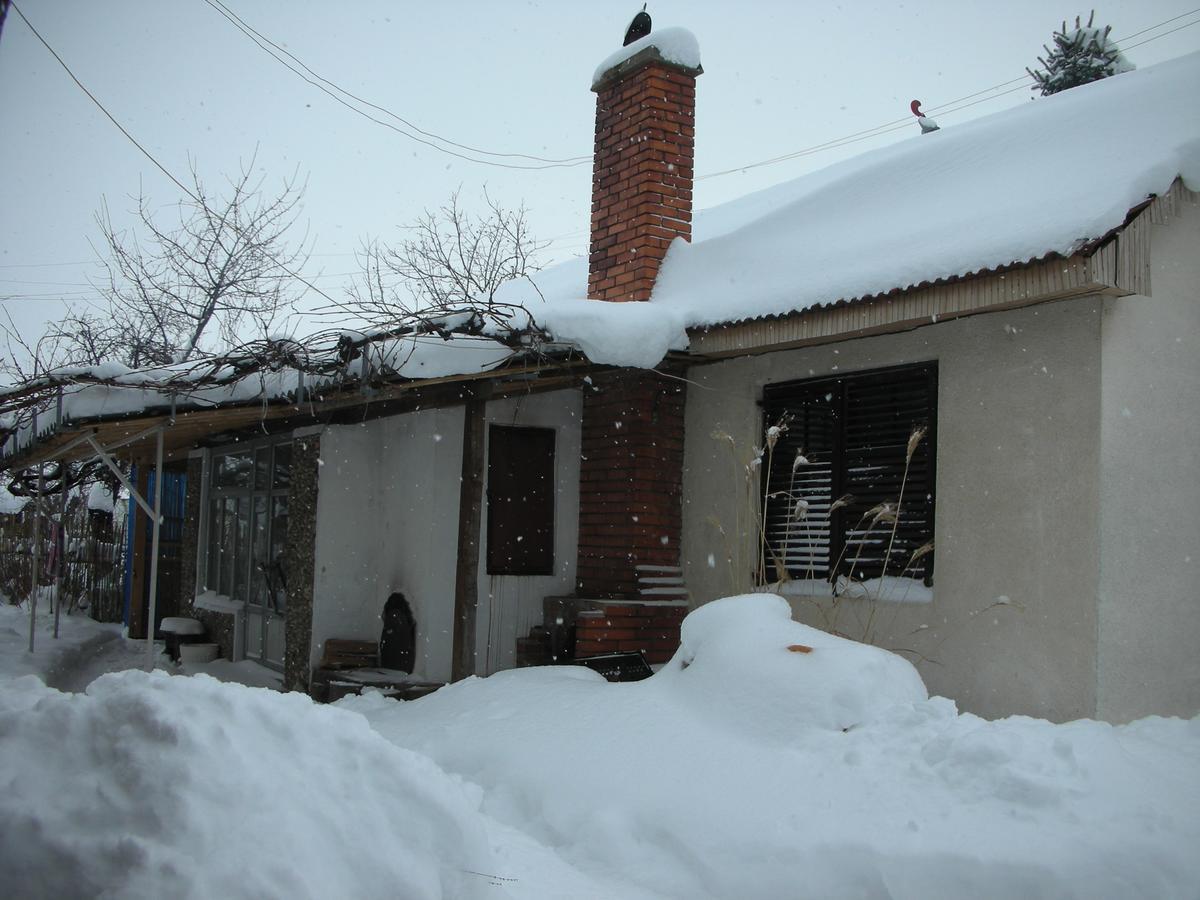 Przic House Apartman Negotin Kültér fotó