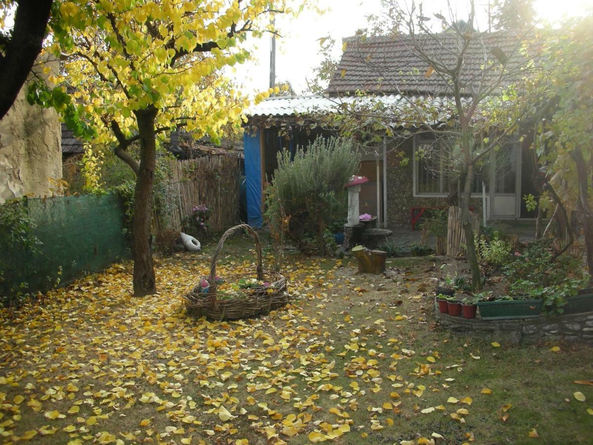 Przic House Apartman Negotin Kültér fotó